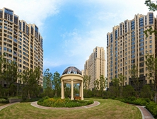 鑫魚(yú)背栓案例 鑫魚(yú)背栓案例