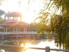 石材背栓,倒錐型定型錨栓,不銹鋼錨栓,混凝土用膨脹型、擴(kuò)孔型建筑錨栓