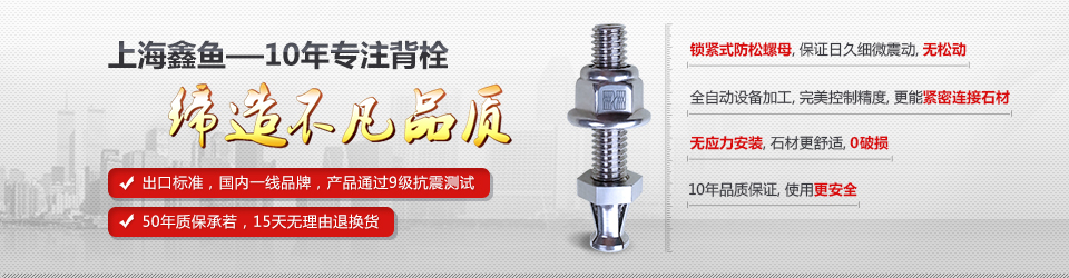 上海鑫魚10年專注背栓締造不凡品質(zhì) 上海鑫魚10年專注背栓締造不凡品質(zhì)
